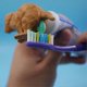 thumbnail image 3 of Hilarious Golden Retriever Puppy Poop Toothpaste Dispenser, Funny Toothpaste Dispenser, Pooping Dog Butt Toothpaste Topper, Golden Retriever Poop Toot, 3 of 5