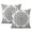 Modern Simple Farmhouse-50, variant on Eye-Catching Gray White Throw Pillow Covers – 16x16 inch, Set of 2 for Sofa, Couch or Outdoor