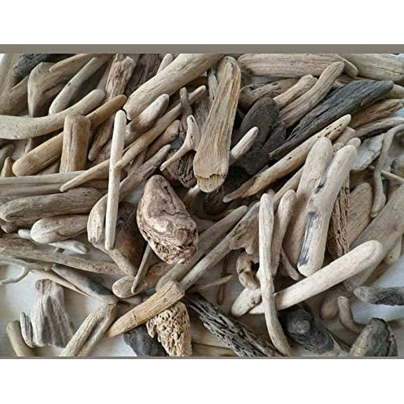 Driftwood Decor Bundle - (10 Pieces) 12-18 inches Long, Approx 1 inch Thick