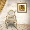 thumbnail image 3 of Loreth, Lanie 26x26 Gold Ornate Wood Framed with Double Matting Museum Art Print Titled - All-a-Flutter II, 3 of 4