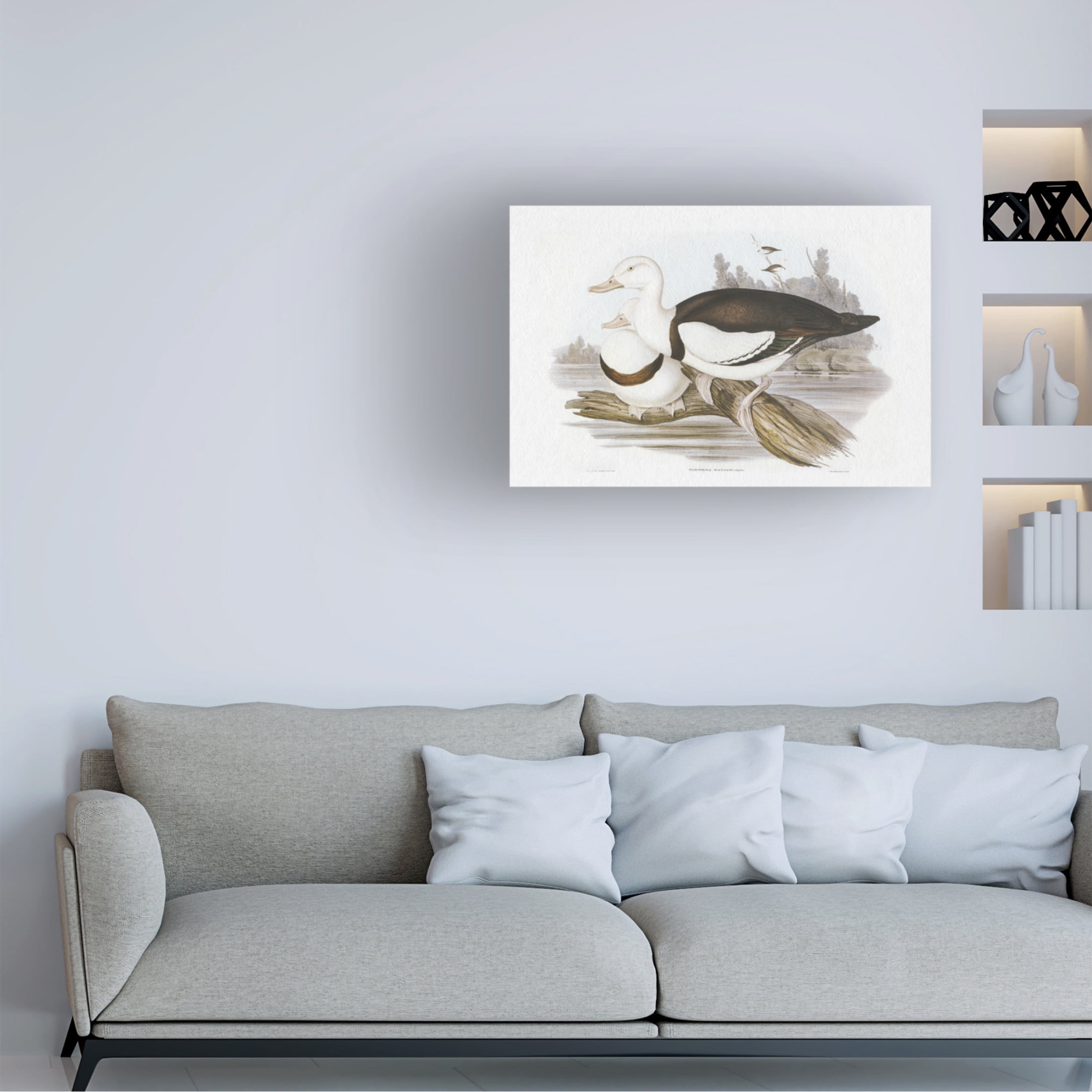 Trademark Fine Art Elizabeth Gould  Seabird Pairing II Canvas Wall Art
