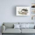 thumbnail image 2 of Trademark Fine Art Elizabeth Gould  Seabird Pairing II Canvas Wall Art, 2 of 4