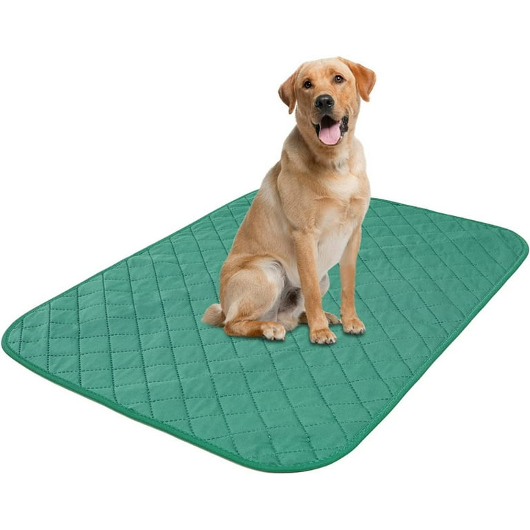 Washable Pee Pee Pad Trained Dog Peeing On Carpet Washable