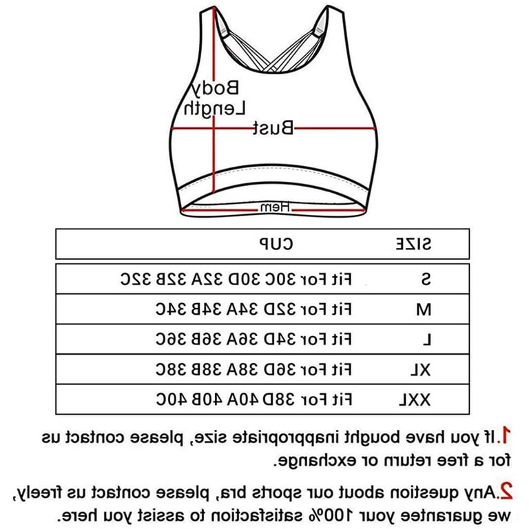 Yianna sports bra 2025
