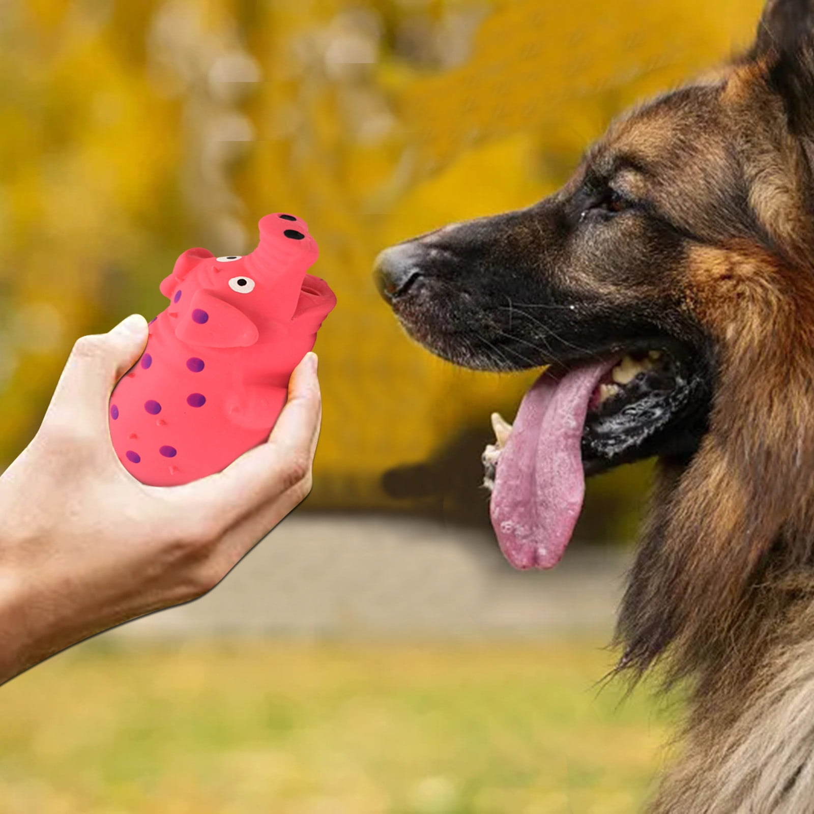 Does Squeaky Toys Hurt Dogs Ears