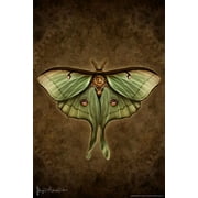 Steampunk Luna Moth by Brigid Ashwood Butterfly Wall Decor Insect Wall Art of Moths and Butterflies Illustrations Cool Wall Art Print Poster 16x24
