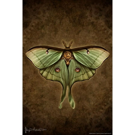 Steampunk Luna Moth by Brigid Ashwood Butterfly Wall Decor Insect Wall Art of Moths and Butterflies Illustrations Cool Wall Art Print Poster 16x24