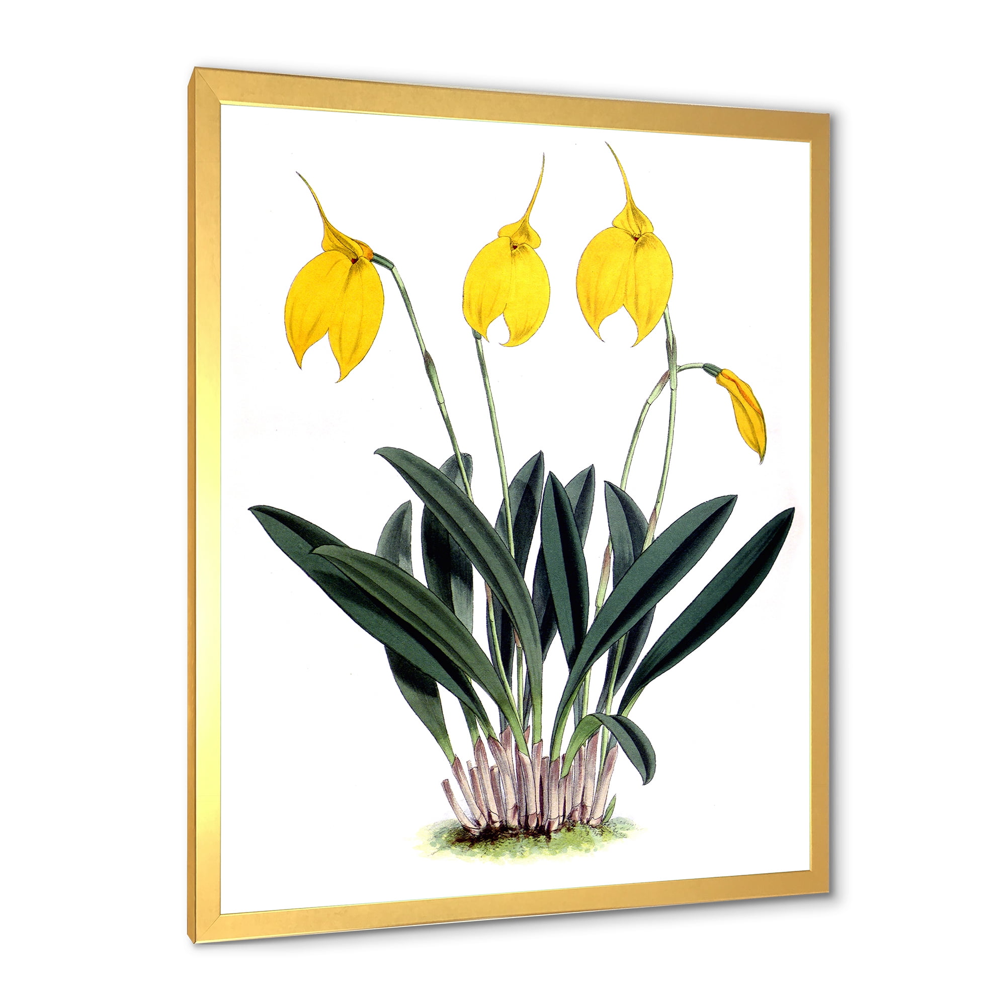 Designart 'Orchid Retro Flowers' Farmhouse Framed Art Print
