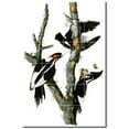 thumbnail image 1 of Ceramic Tile Mural-John Audubon Birds Painting 34. 17" w x 25.5" h using (24) 4.25 x 4.25 ceramic tiles, 1 of 3
