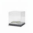 thumbnail image 2 of Vitrina en miniatura Acera individual, 2 of 9