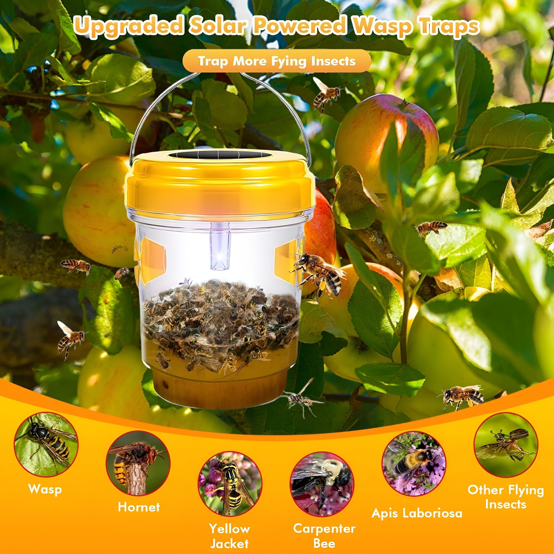 BPPEG Wasp Traps Outdoor Hanging, Solar Bee Trap for Outside, Reusable Solar Powered Hornet Traps, Bee Wasp Catcher Outside Garden 3 Packs