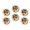 C0612, variant on Glass Refrigerator Magnet 6Pcs Magnetic Fridge Sticker,Decor for Kitchen,Whiteboard,Cabinet,Tough Pit Bull Pattern