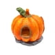 thumbnail image 2 of Casa Calabaza Ganfancp de Halloween Lagarto Cangrejo Ermitaño Hexagonal Escondite Acuario, 2 of 6
