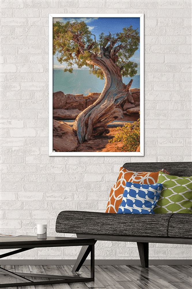 Beth Sheridan - Dead Horse Point Wall Poster, 22.375" x 34", Framed