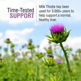 thumbnail image 4 of Solaray Milk Thistle Seed Extract 175mg Antioxidant Intended to Help Support a Normal, Healthy Liver Non-GMO & Vegan, 4 of 6