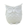 thumbnail image 3 of figatia Flowerpot Indoor Plant Pot Owl Shape Cute Japanese Planter Container for Indoor Decoration Office Home Balcony No listen White, 3 of 8