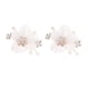 thumbnail image 1 of 2 piezas de broches de zapatos de flores de perlas Hugo pinzas para zapatos, 1 of 6