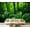 Color 1, variant on Wall Mural Peel and Stick temples pictures Self-Adhesive Wallpaper Removable Wall Decal Wall Sticker Home Decor for Living Room Bedroom 69"x96"