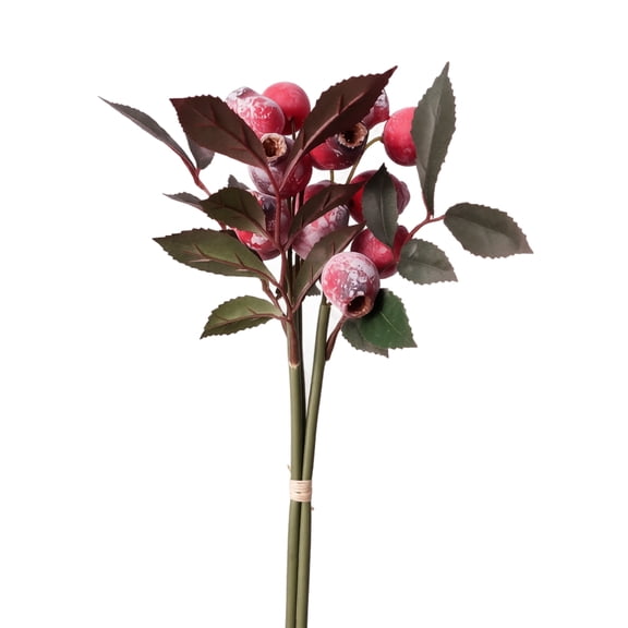 Red Eucalyptus Berries & Leaves with Branches, Hand-Tied Faux Plant Decor for Coffee Table, Farmhouse & Cozy Living Room Table Decor, Vase Filler Artificial Fruit Decor 3 Pack