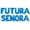 Blue, variant on Cursive Script Letter Balloons - FUTURA SENORA 16" Inch Alphabet Letters Foil Mylar Balloon Bachelorette Party Banner (Gold)