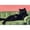 HL050, variant on Adult 5D Diamond Art Kit — Black Small Animals Diamond Pattern Kit — Gemstone Decoration Kit for Adults (30×40 cm, Unframed),HL050