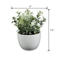 thumbnail image 3 of Mainstays 7.5” Artificial Eucalyptus and Flower in White Ceramic Pot Made for Tabletops – 1.1 lbs, 3 of 12