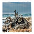 thumbnail image 3 of Ambesonne Digital Shower Curtain, Driftwood Shore Seagull, 69"Wx84"L, Blue, 3 of 5