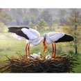thumbnail image 1 of Pintura de diamante (DE5646) 5D DIY Kit Familia de cisnes Imagen cuadrada Artesanía 45x60cm FLhrweasw Nuevo, 1 of 1
