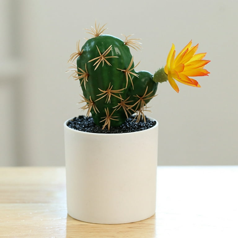 Artificial Cactus Plants Mini Fake Desert Plants in White Pots