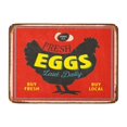 thumbnail image 1 of NUDECOR Vintage Metal Sign Fresh Eggs Laid Daily Effects Can Be Easily Removed Doormat Floor Rug Bath Mat 30x18 inch, 1 of 1