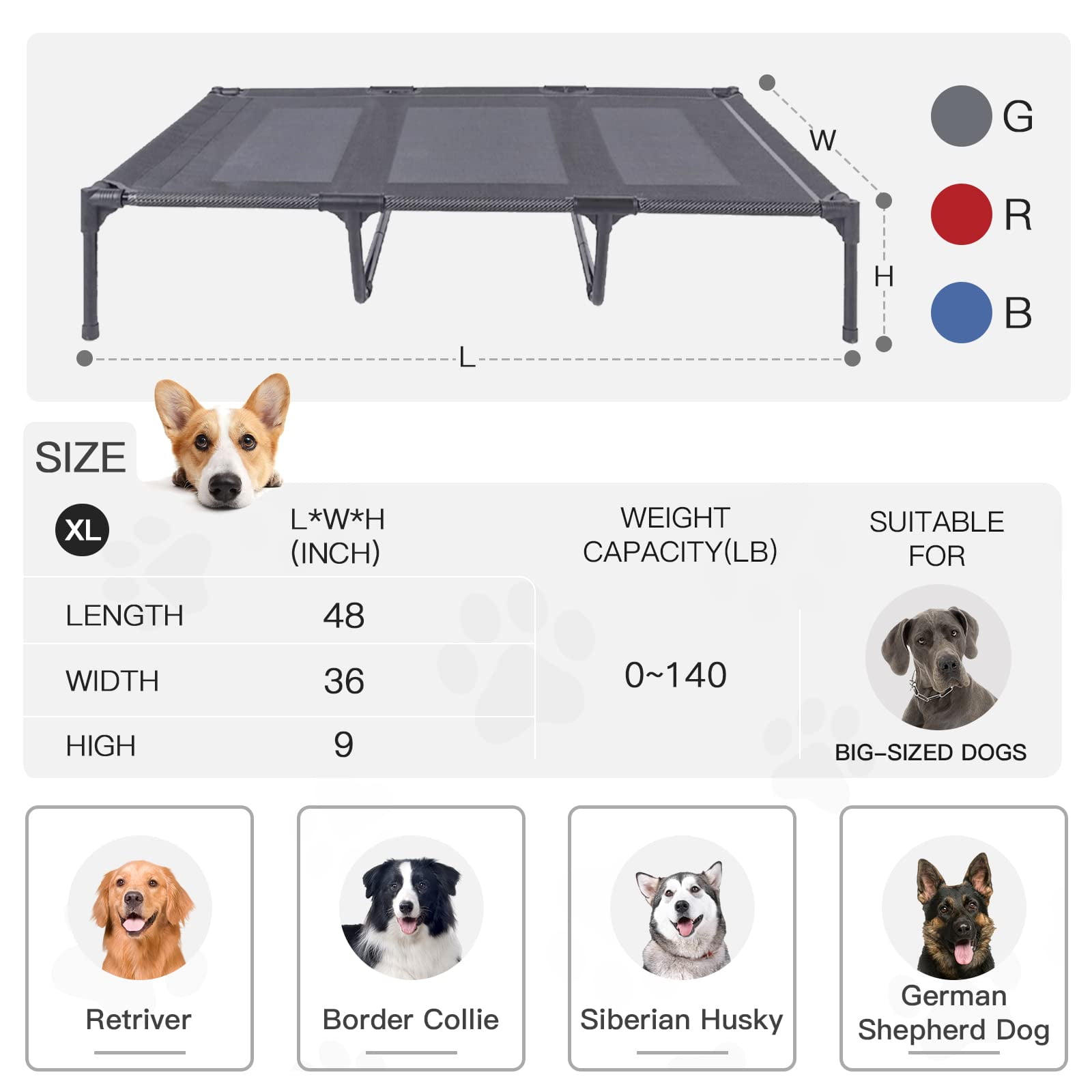 Dog beds raised off floor 2025