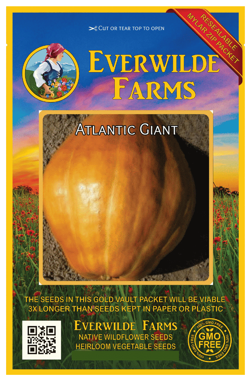 Garden seeds for giant pumpkin great fun with the kids carters uk