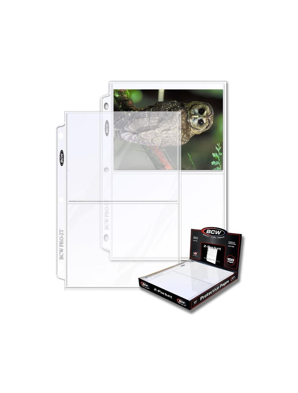 2Pocket 5x7 Photo Binder Pages [BCW] 20ct
