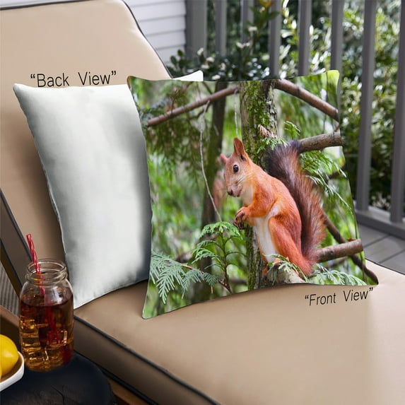 Ahgly Company Animals Squirrel Outdoor Throw Pillow, 18 inch by 18 inch
