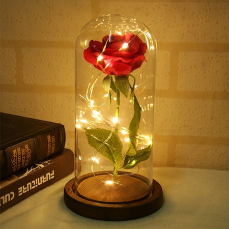 Mother's Day Red Enchanted Rose Gift for Mom , LED light & Battery Powered, That Last Forever flowers in Glass , Best Gift for Wedding Anniversary(Style (Best Pic For Valentine Day)