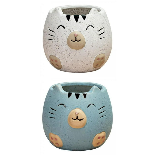 2x Cute Succulents Planters Pots with Drainage Hole for Desktop Blue Baoblaze none