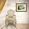 thumbnail image 3 of Engelbrecht, Jim 18x13 Gold Ornate Wood Framed with Double Matting Museum Art Print Titled - Plumeria, 3 of 4