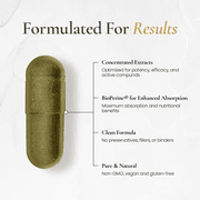 Timeless - NAD+ Supplement with BioPerine® for Enhanced Absorption - Supports Anti-Aging, Longevity, Cellular Energy – Nicotinamide Riboside, Spermidine, Resveratrol & More (60 Capsules)