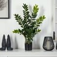 thumbnail image 2 of Nearly Natural 3' Zamioculcas Plastic Artificial Plant, Green, 2 of 3