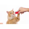 thumbnail image 2 of Delectables Poulet & Herbe du Chat, Thon & Herbe du Chat, Thon & Saumon Herbe du Chat Squeeze Up™ Friandise pour Chat, Lot de 20, 2 of 5