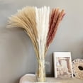 thumbnail image 3 of 60Pcs Large Dried Pampas Grass for Vase Wedding Gift Reed Flowers Party Home Zulema hierba de pampa seca, 3 of 8