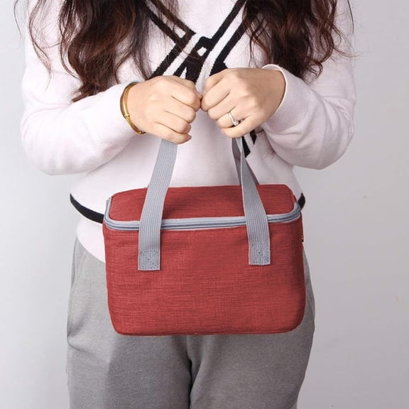 JUNCHI-6 Can/4L Lunch Bag Men Women Square Lunch Box Small Cooler Bag Soft Collapsible Insulated Thermal Tote for Adults Work Travel Daytrip Food Drink Cool Bag (Deep Red)