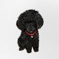 thumbnail image 2 of CafePress - Poodle Pup (Blk) - Adjustable Unisex Printed Trucker Hat with Mesh Back, 2 of 10