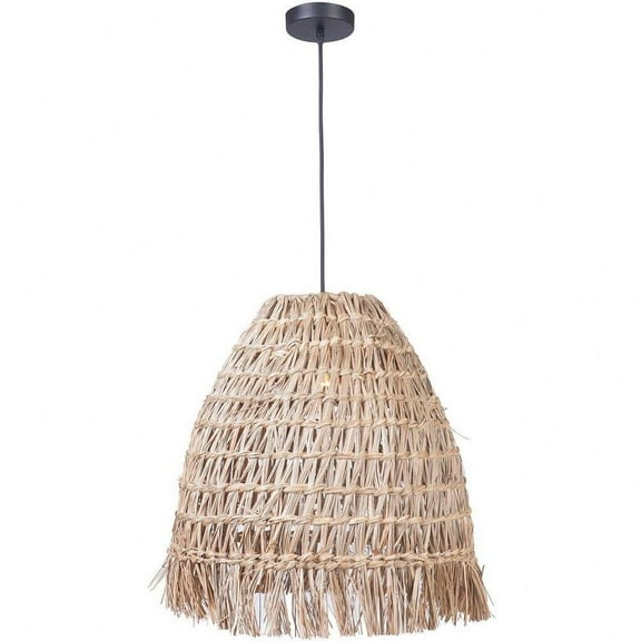 One Light Pendant with Cord 9.88 inches Wide By 13.75 inches High Bailey Street Home 139-Bel-3823080