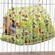 thumbnail image 5 of Jaula para loros Zulema Nido colgante M, 5 of 8