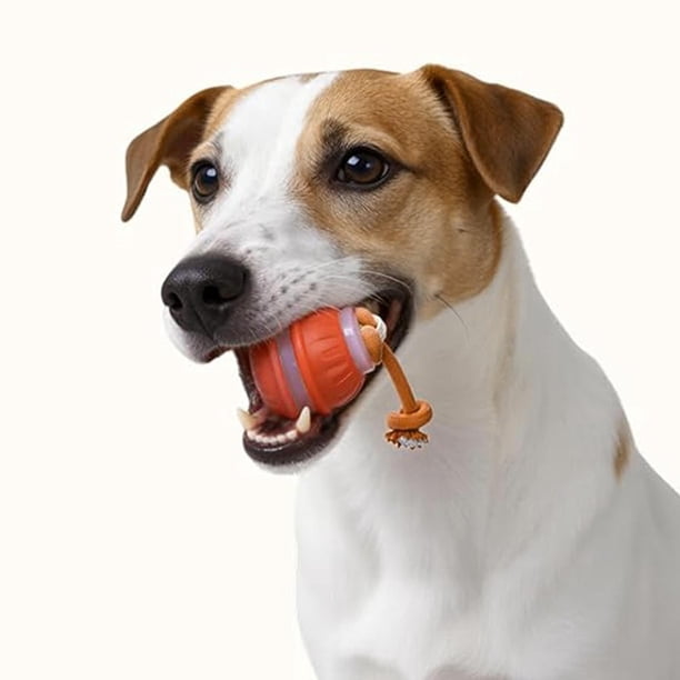 Juguetes interactivos para perros y gatos, pelota de entrenamiento inteligente con movimiento automático y cuerda para mascotas, para piscina jardín. Naranja