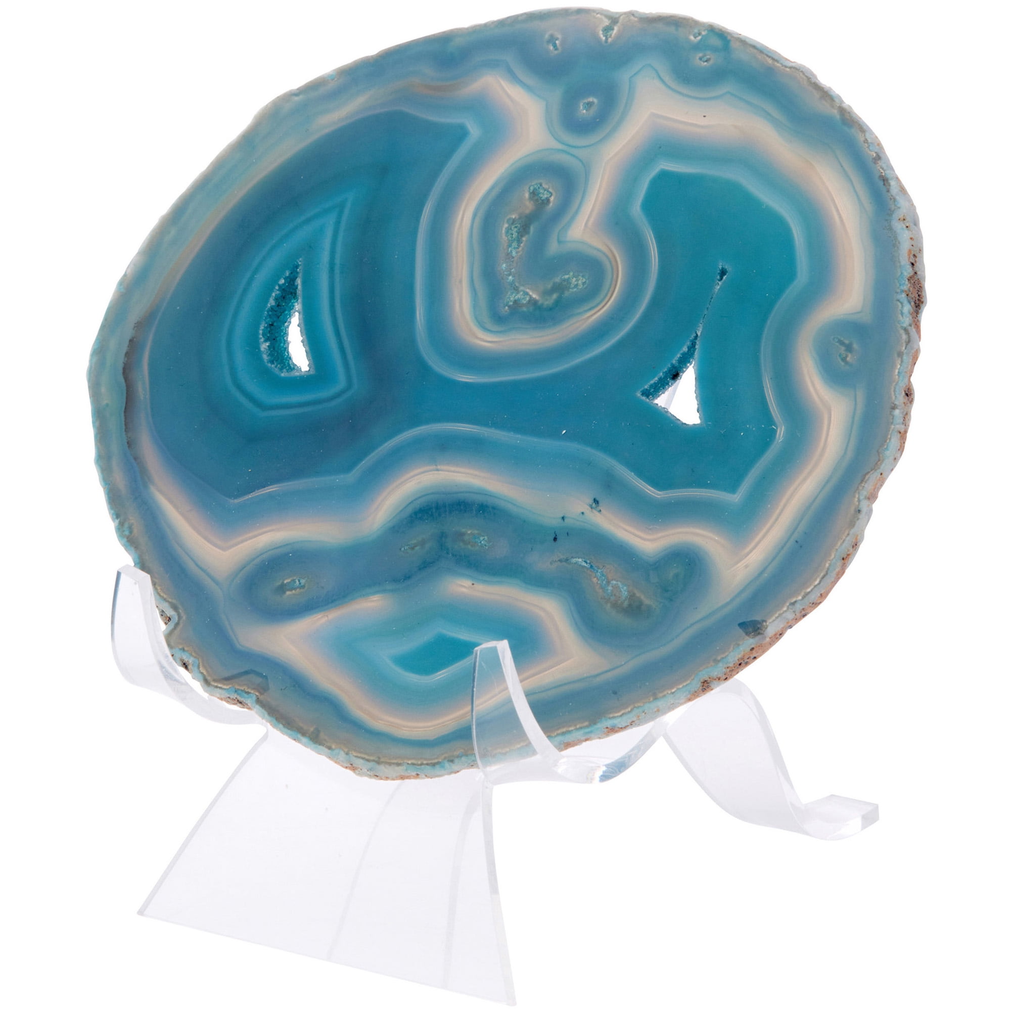 Plymor Clear Acrylic Wave Display Easel, 3.5" H x 2.75" W x 3.5" D (6 Pack)