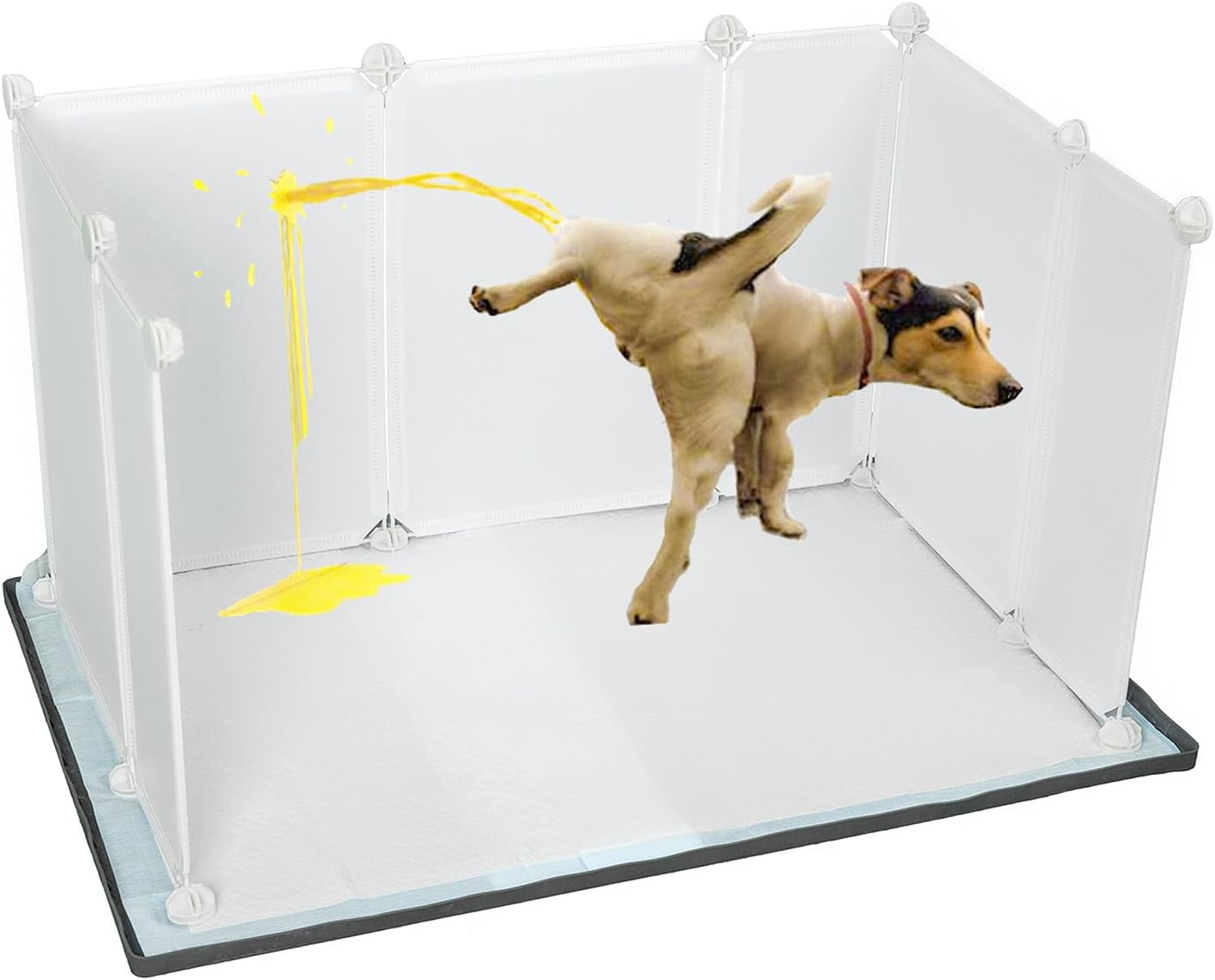 Little Wolves Potty Tray 22