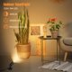 thumbnail image 2 of Focos LED Kandicyar para interiores, 5 W, iluminación de plantas, 3000 K/4000 K/5000 K, 2 of 7