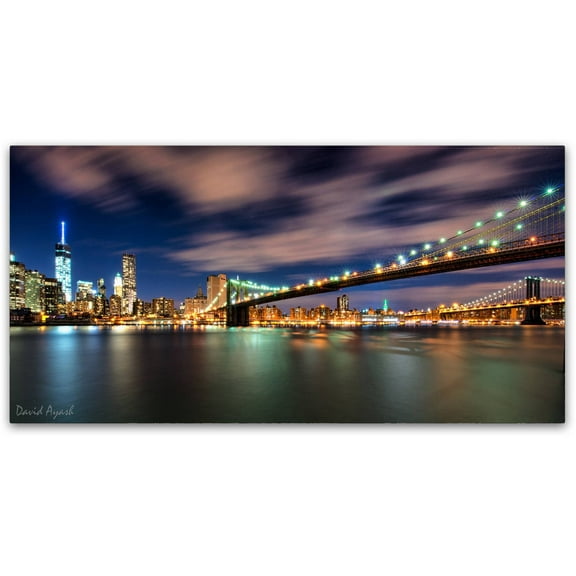 Trademark Fine Art "Brooklyn Bridge and Downtown" Canvas Art by David Ayash